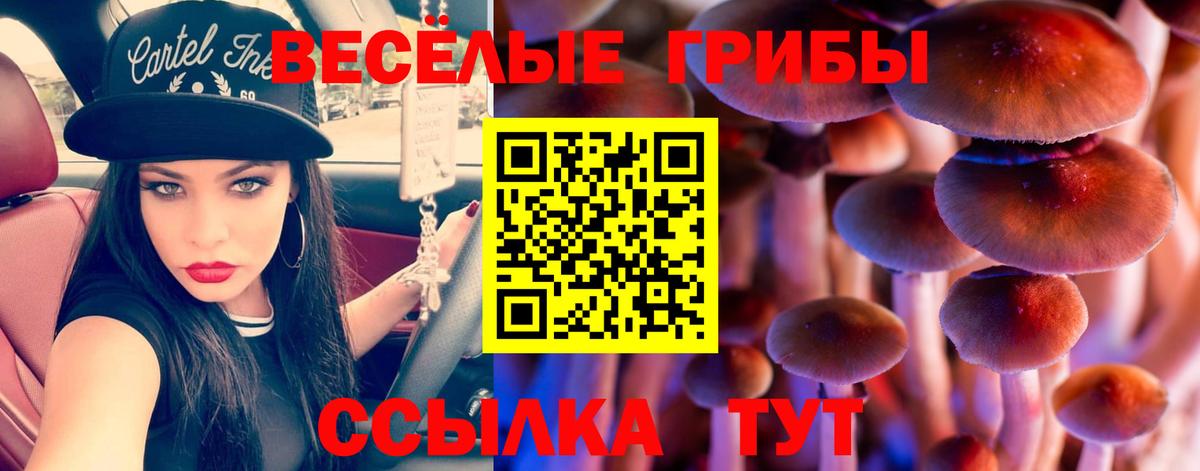 Саров  Псилоцибиновые грибы ЛСД  Вход с VPN 